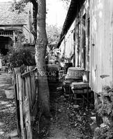 The backdoors of a row of slum corral dwellings.