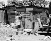 Chicken house in rear of home