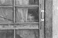 Boy peering out of door