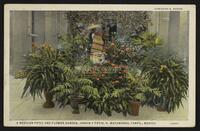 A Mexican Patio and Flower Garden, Jardin y Patio, H. Matamoros, Tamps., Mexico