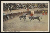 Suerte de Vara, Mexican Bull Fight