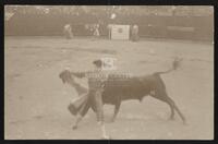 [Bullfights, Matamoros, Mexico] - Scene 2