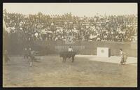 [Bullfights, Matamoros, Mexico] - Scene 3