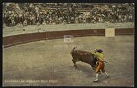 Banderillas, Mexican Bull Fight