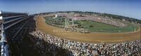 Kentucky Derby, 1979