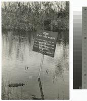 Photograph of a sign asking visitors not to feed wildlife in Everglades National Park