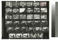 Photographic contact sheet of a river rafting expedition at the Grand Canyon, 1977