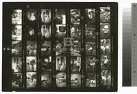 Photographic contact sheet of a wedding and a child wearing a helmet