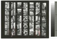 Photographic contact sheet of the Little Le Mans auto race at Lime Rock Park, 1958