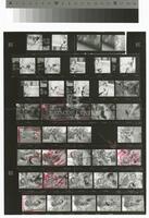 Photographic contact sheet of Bill "Gator Bill" Schoelerman with an otter