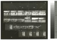 Photographic contact sheet of the Barnum and Bailey Circus
