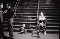Photograph of a clown sitting on a set of stairs