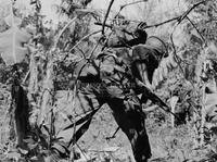 Photograph of a U.S. Marine taking cover, 1967
