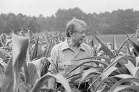 Photograph of Jimmy Carter on his peanut farm, June 12, 1976