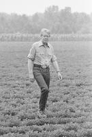 Photograph of Jimmy Carter on his peanut farm, June 12, 1976