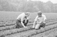 Photograph of Jimmy Carter on his peanut farm with his brother Billy, June 12, 1976