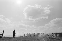 Photograph of a guard and a line of prisoners, September 1995