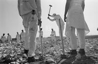 Photograph of prisoners breaking large rocks with mallets, September 1995