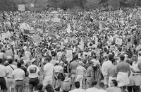 Photograph of a gay rights demonstration, 1993