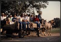 Texas Hill Country