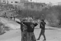 Photograph of Palestinian youths aiming slingshots