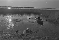 Photograph of a person in a rowboat