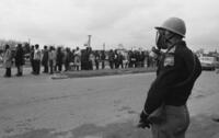 Bloody Sunday, Selma