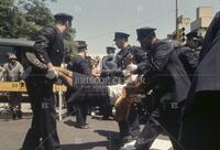 Harlem, protest