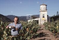 California wine industry