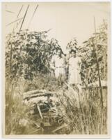 Photograph of Internees Mr. and Mrs. Hamaguchi(?) Standing Near a Stream