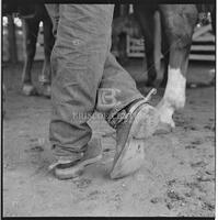 Cowboys at the Texas Cowboy Reunion, Stamford, July 2-4, 1959