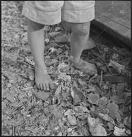 Young Boy in New Orleans