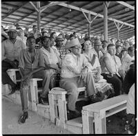 Crowd at the Texas Cowboy Reunion, Stamford, July 2-4, 1959