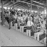 Crowd at the Texas Cowboy Reunion, Stamford, July 2-4, 1959