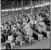 Crowd at the Texas Cowboy Reunion, Stamford, July 2-4, 1959