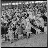 Crowd at the Texas Cowboy Reunion, Stamford, July 2-4, 1959