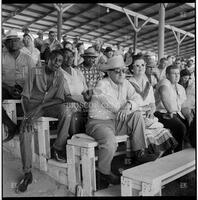 Crowd at the Texas Cowboy Reunion, Stamford, July 2-4, 1959