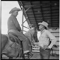 Cowboys at the Texas Cowboy Reunion, Stamford, July 2-4, 1959