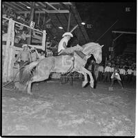 Rodeo at the Texas Cowboy Reunion, Stamford, July 2-4, 1959