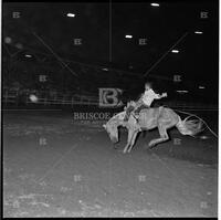Rodeo at the Texas Cowboy Reunion, Stamford, July 2-4, 1959