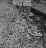 Young Boy in New Orleans