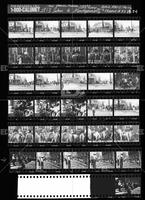 Selma to Montgomery, LIFE #72441, roll 6C-3 (13.34); Selma to Montgomery, 1965, undated