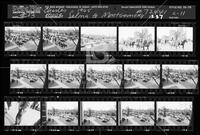 Selma to Montgomery, LIFE #72441, roll C-11 (13.37); Selma to Montgomery, 1965, undated