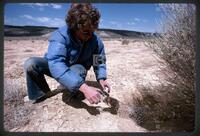 Biologist with Prairie Dog