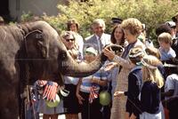 Nancy Reagan at the London Zoo