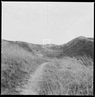 Marin Headlands