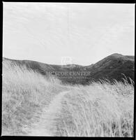 Marin Headlands