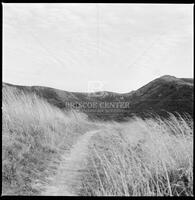 Marin Headlands