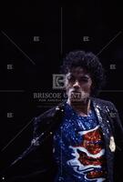Michael Jackson, 1984 Concert