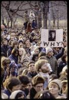 John Lennon Tribute - Central Park